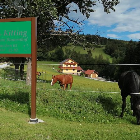 Вілла Urlaub Am Bauernhof Familie Kitting Vorau Екстер'єр фото