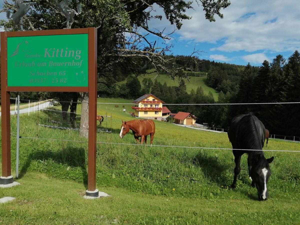 Вілла Urlaub Am Bauernhof Familie Kitting Vorau Екстер'єр фото