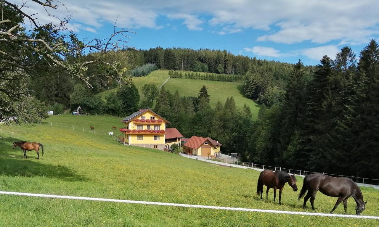 Вілла Urlaub Am Bauernhof Familie Kitting Vorau Екстер'єр фото
