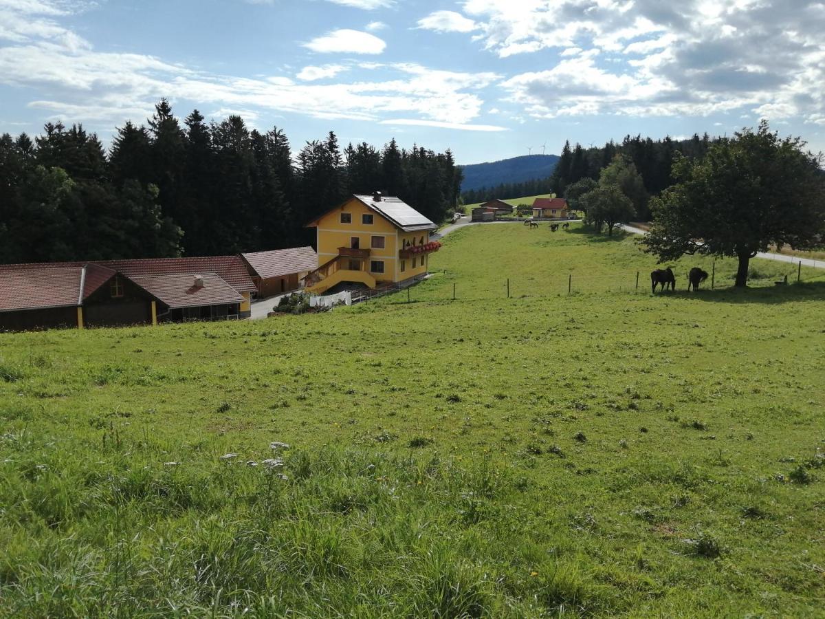 Вілла Urlaub Am Bauernhof Familie Kitting Vorau Екстер'єр фото