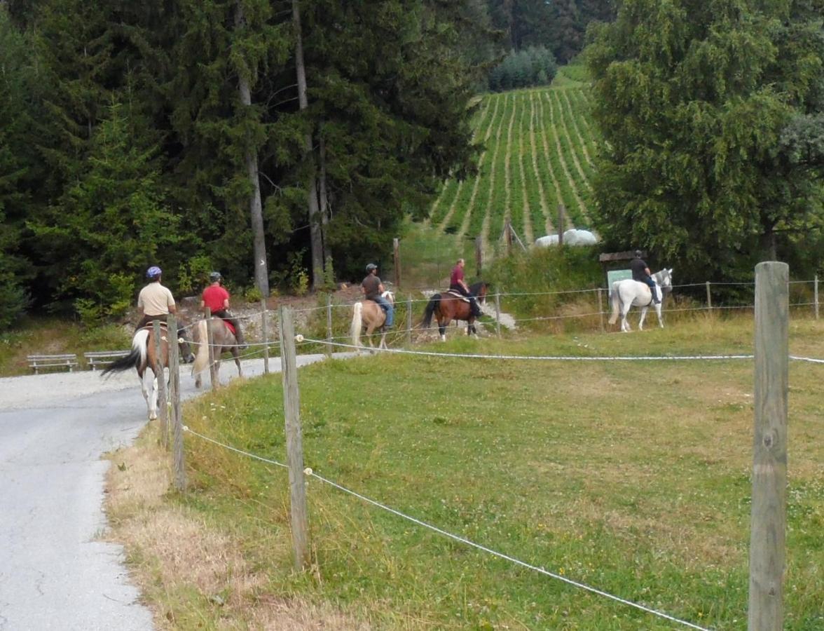 Вілла Urlaub Am Bauernhof Familie Kitting Vorau Екстер'єр фото